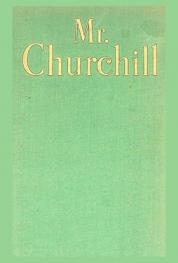 Mr. Churchill : a portrait