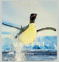  The moment : seventh season 2017-2018