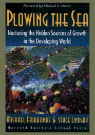  Plowing the sea : nurturing the hidden sources of growth in the developing world