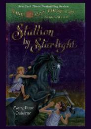  Stallion by starlight