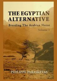  The Egyptian alternative