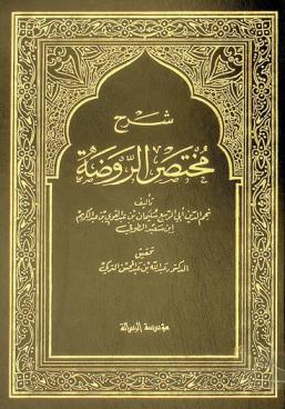  شرح مختصر الروضة