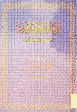  أوهام شعراء العرب في المعاني