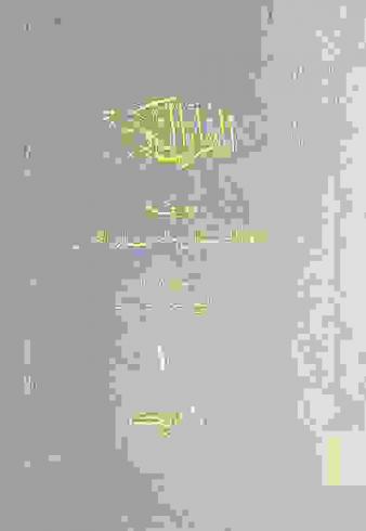 القرآن الكريم ؛ ومعه صفوة البيان لمعاني القرآن