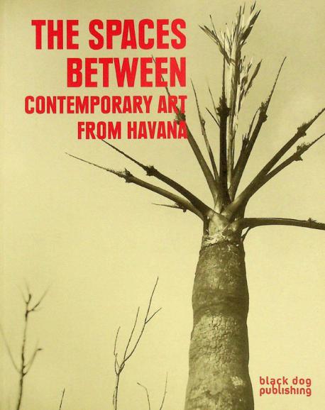  The spaces between contemporary art from Havana