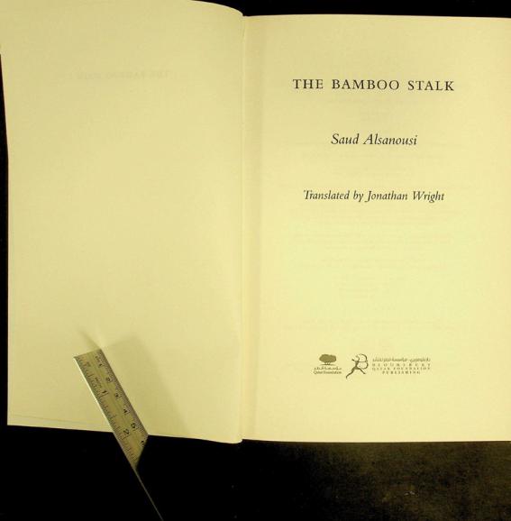 The bamboo stalk