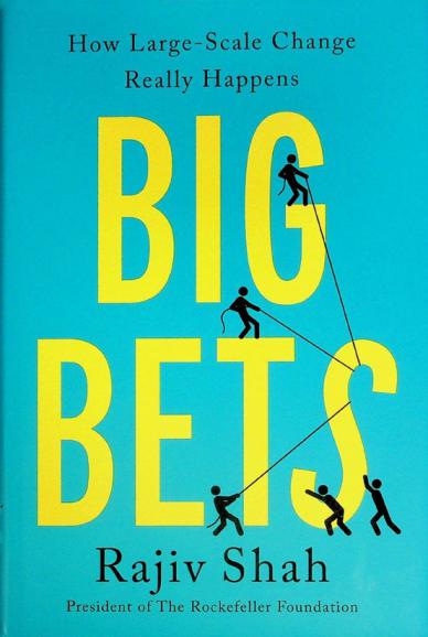  Big bets : how large-scale change really happens