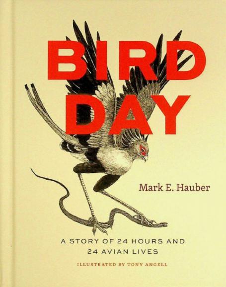  Bird day : a story of 24 hours and 24 avian lives