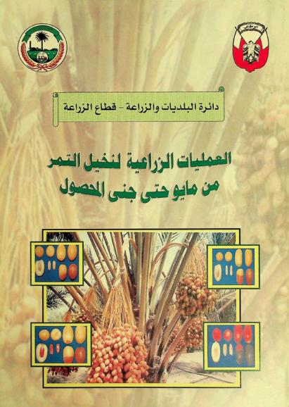  العمليات الزراعية لنخيل التمر من مايو حتى جني المحصول