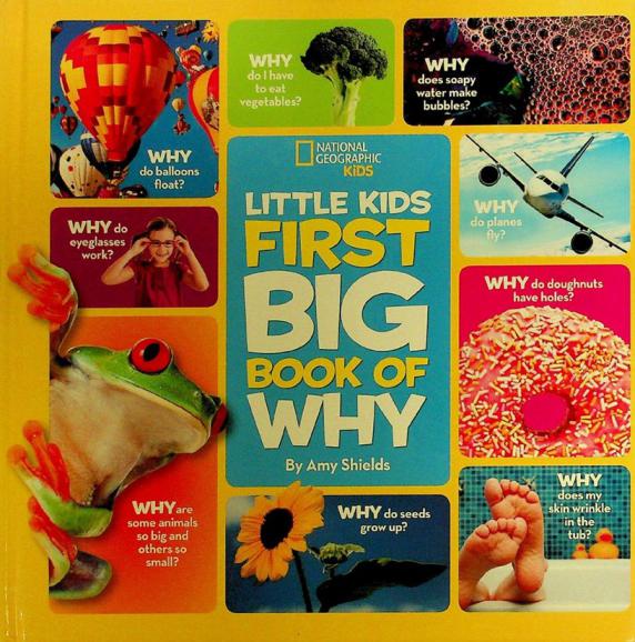  First big book of why