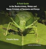  A field guide to the bushcrickets, wetas and raspy cickets of Tanzania and Kenya