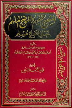 المفصح المفهم والموضح الملهم لمعاني صحيح مسلم