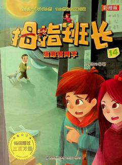 Mu zhi ban zhang : Cai hui ban