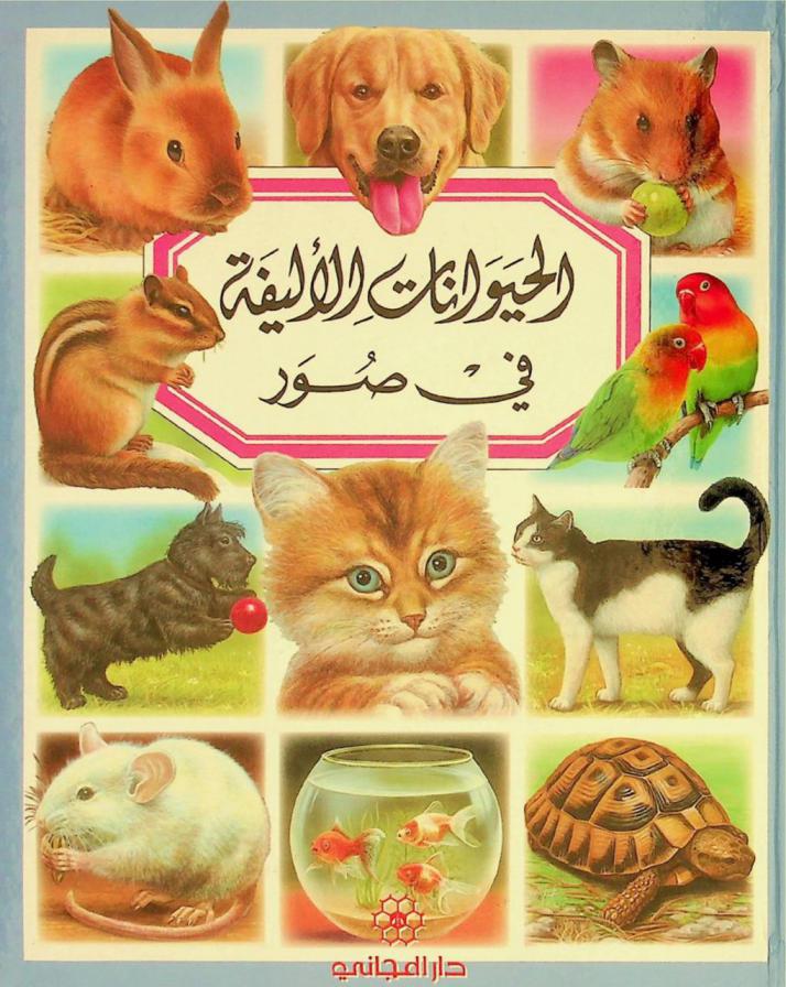  الحيوانات الأليفة في صور