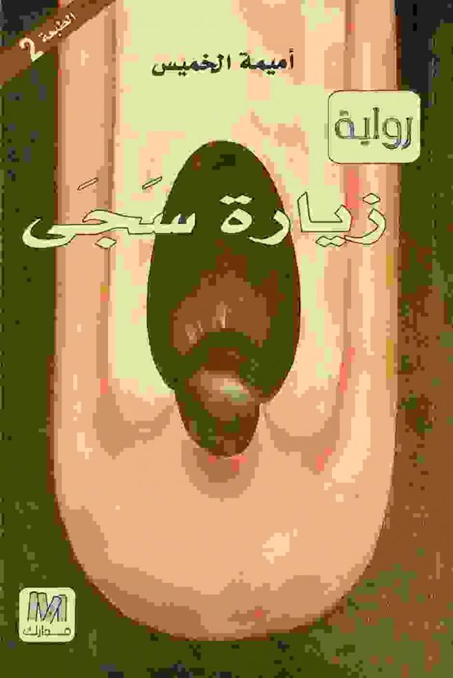 زيارة سجى : رواية