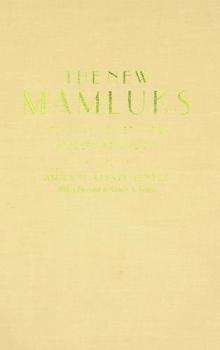  The new Mamluks : Egyptian society and modern feudalism