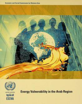  Energy vulnerability in the Arab region