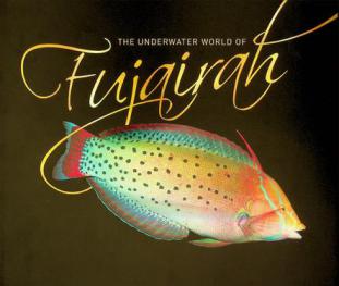 The underwater world of Fujairah