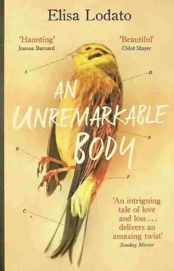  An unremarkable body