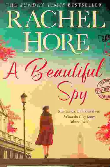  A beautiful spy