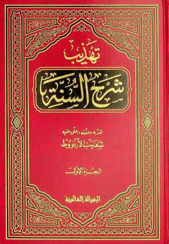  تهذيب شرح السنة