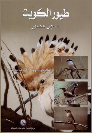  طيور الكويت : سجل مصور