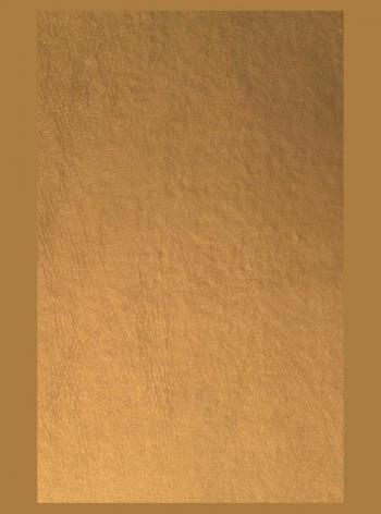  ابن تيمية : حياته وعصره : آراؤه وفقهه