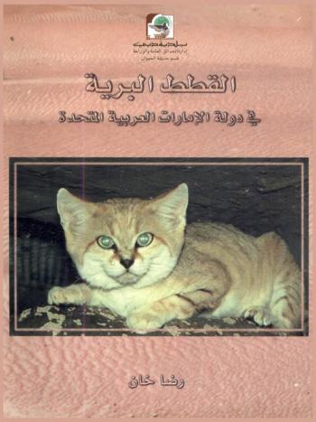  القطط البرية في دولة الإمارات العربية المتحدة