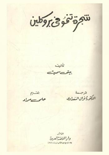 شجرة تنمو في بروكلين