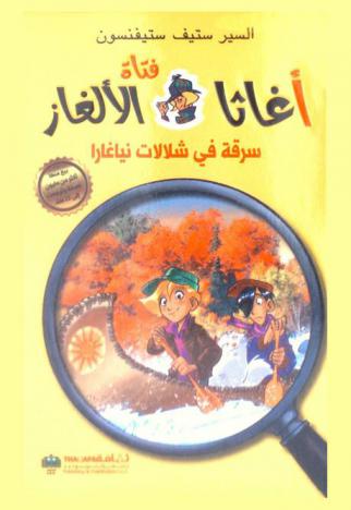  سرقة في شلالات نياغارا