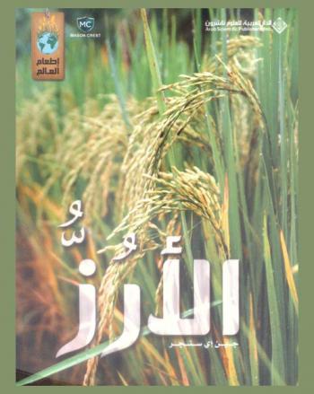  الأرز