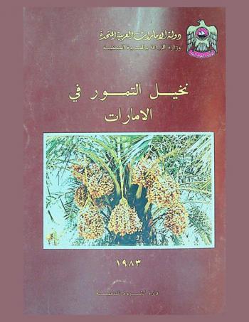 نخيل التمور في الإمارات