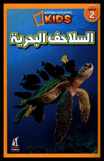  السلاحف البحرية