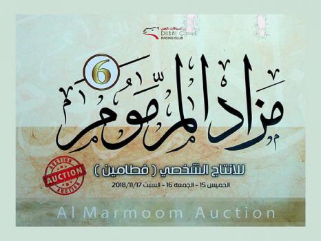 مزاد المرموم = Al marmoom auction : للإنتاج الشخصي (فطامين) الخميس 15-الجمعة 16-السبت 17-11-2018