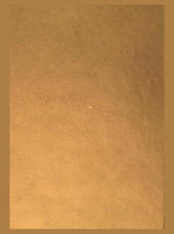  المسلمون في أوربا في العصور الوسطى