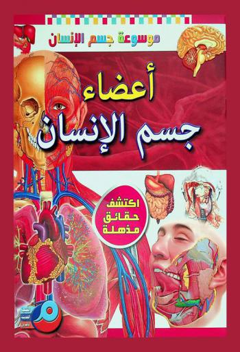 أعضاء جسم الإنسان