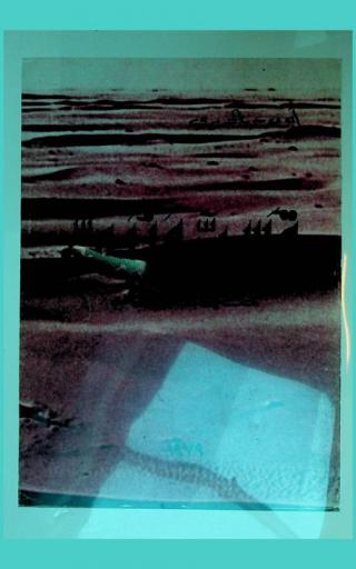  قس ونبي : بحث في نشأة الإسلام