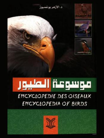  موسوعة الطيور = Encyclopedie des oiseaux = Encyclopedia of birds : تبحث في الطيور ومراتبها وأنواعها وضروبها وما تعلق بها : بطاقات تقنية عربية ملخصة لأسماء الطيور باللاتينية والفرنسية والإنجليزية