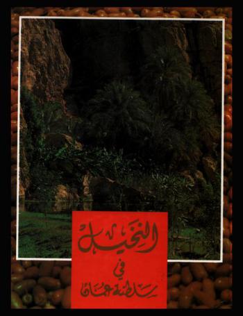 النخيل في سلطنة عمان