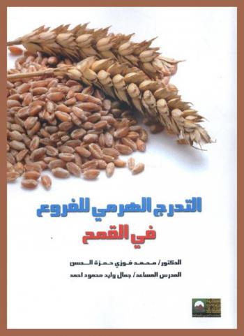  التدرج الهرمي للفروع في القمح