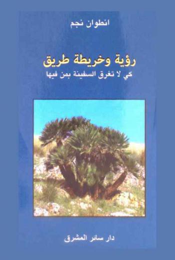  رؤية وخريطة طريق : كي لا تغرق السفينة بمن فيها