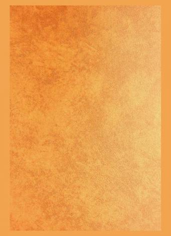  مشروع استراتيجية التوثيق والمعلومات في الوطن العربي