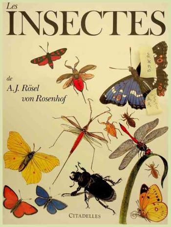  Les insectes
