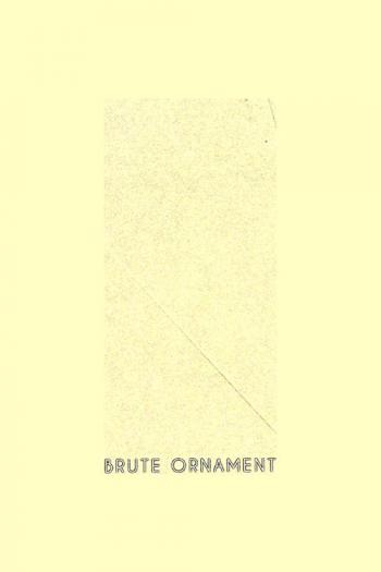 Brute ornament : Kamrooz Aram and Seher Shah