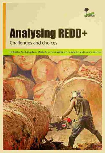 Analysing REDD + : challenges and choices