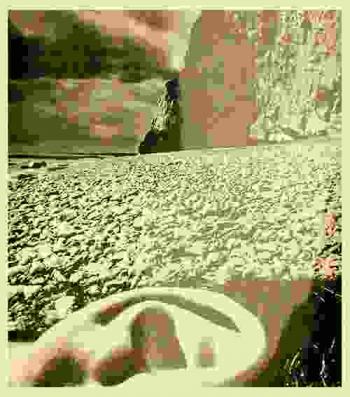  Bill Brandt : photographs : catalogue of an exhibition by the Arts Council of Great Britain, Hayward Gallery, London, 30 April-31 May 1970