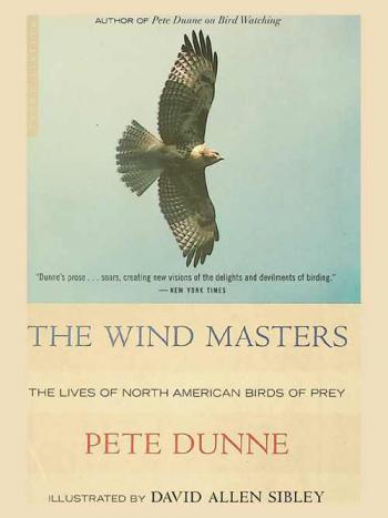 The wind masters : the lives of North American birds of prey