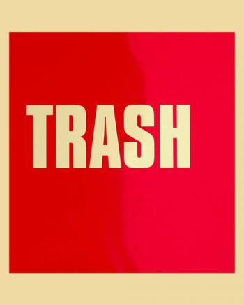  Trash : Bruno Mouron, Pascal Rostain