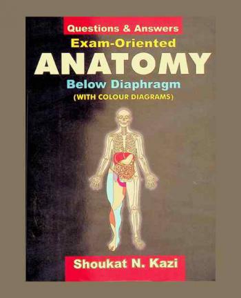  Exam-oriented anatomy : below diaphragm