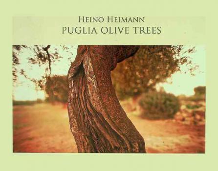 Puglia olive trees